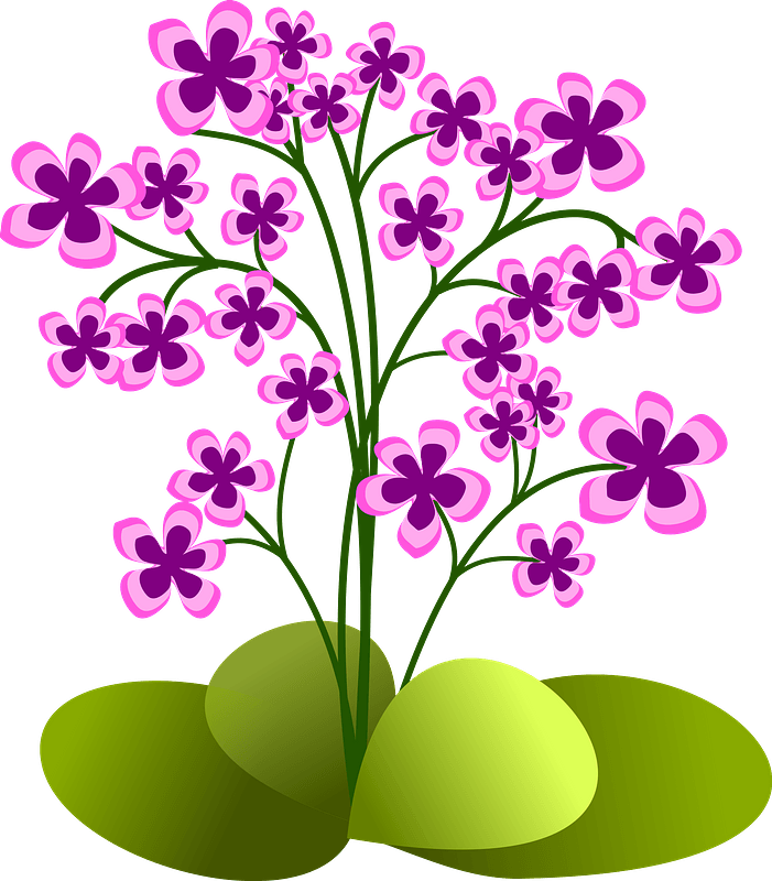 Pink Flowers in the Ground