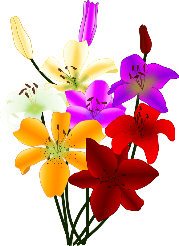 Bouquet of Colorful Lilies