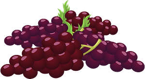 Bunch of Grapes