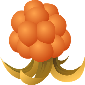 Cloudberry