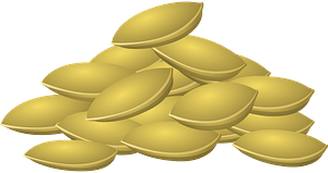 Pumpkin Seeds