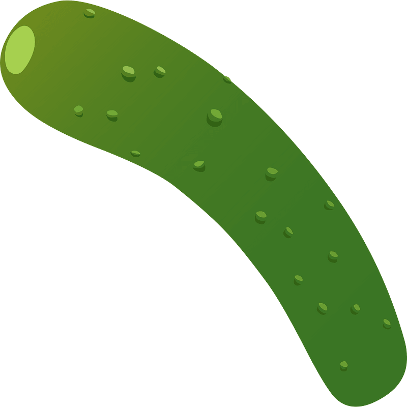 夏南瓜