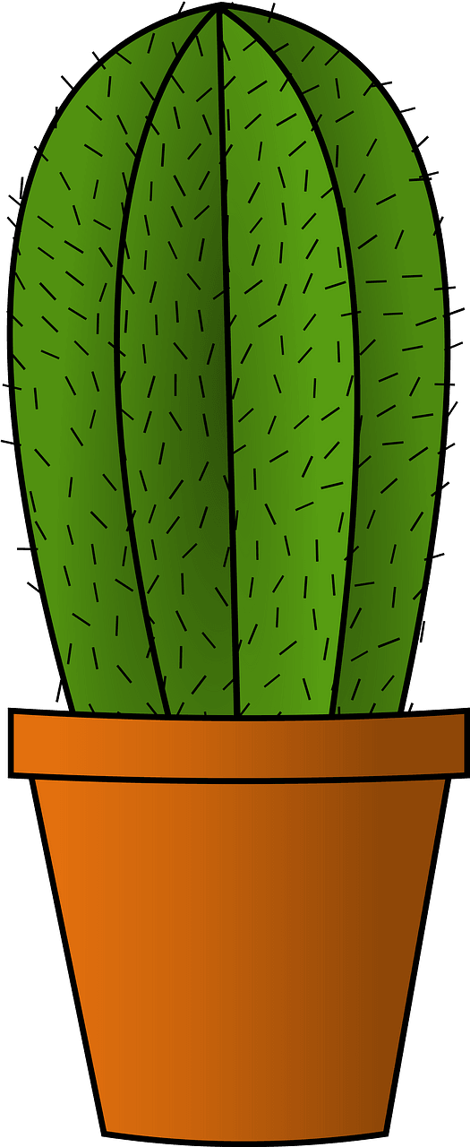 Cactus in a Pot