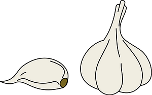 Garlic Bulb and Clove