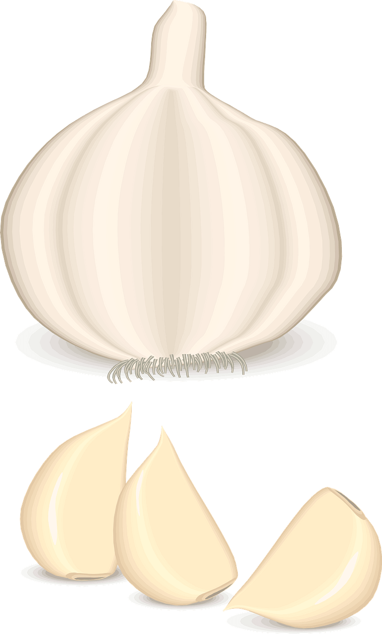 Garlic Bulb and Clove