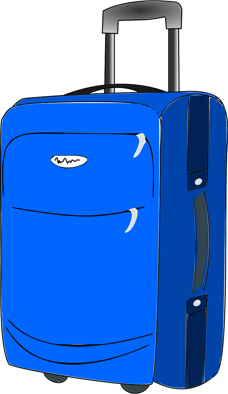 Blue Roller Luggage 
