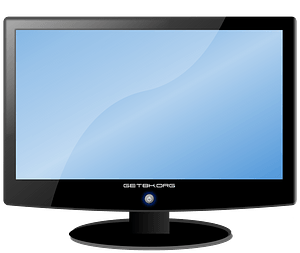 LCD Widescreen Monitor