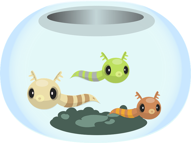Fishbowl