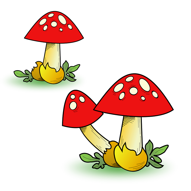 Red Capped Toadstools with White Spots