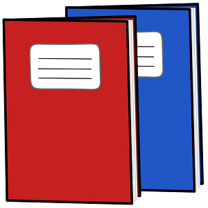 Red and Blue Notebooks