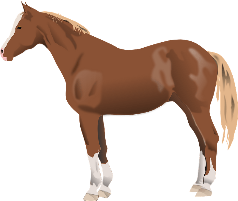 Horse Brown