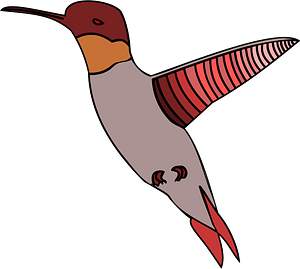 Humming Bird