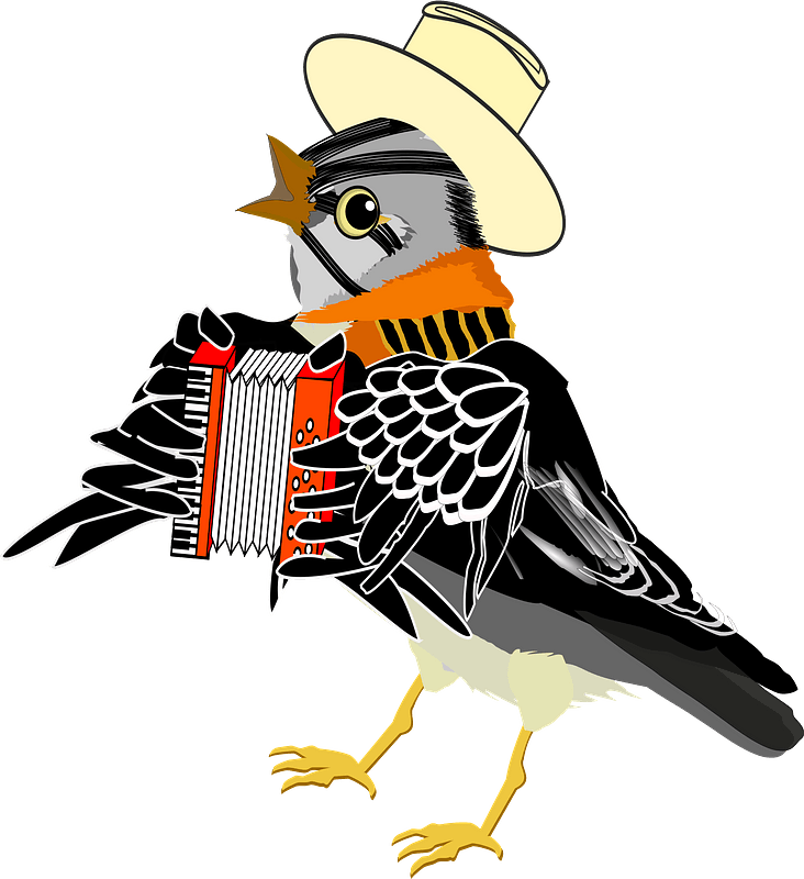 Magpie Wearing a Top Hat, Playing an Accordion