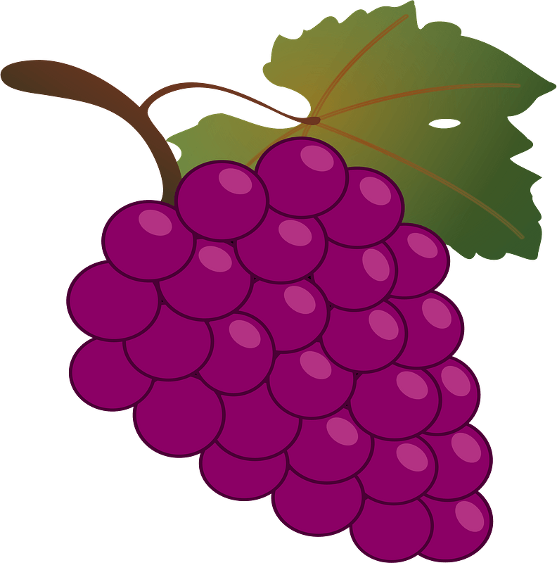 Bunch of Grapes