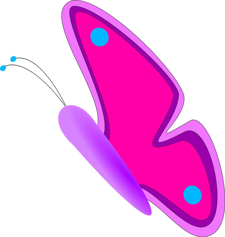 Pink and Purple Butterfly