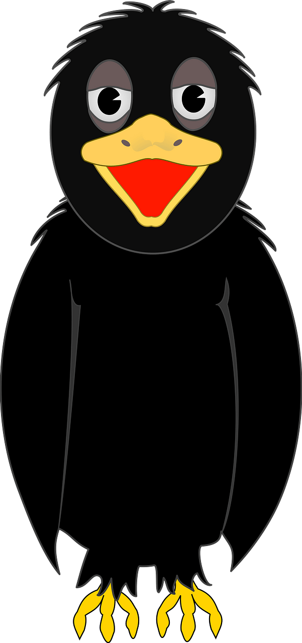 Smiling Black Bird