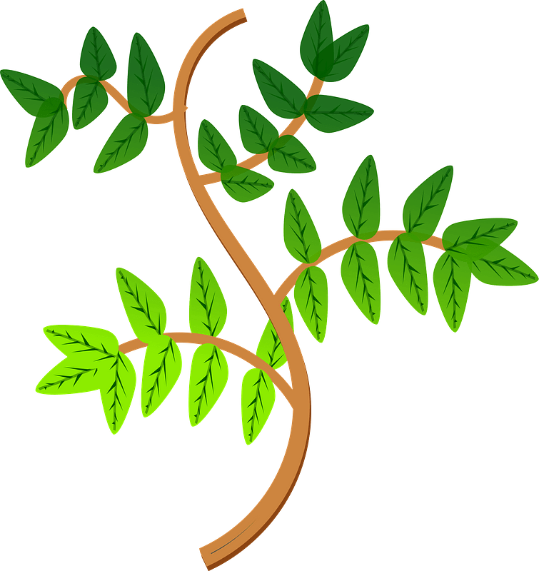 Leaves and Branches