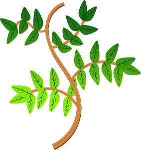 Leaves and Branches