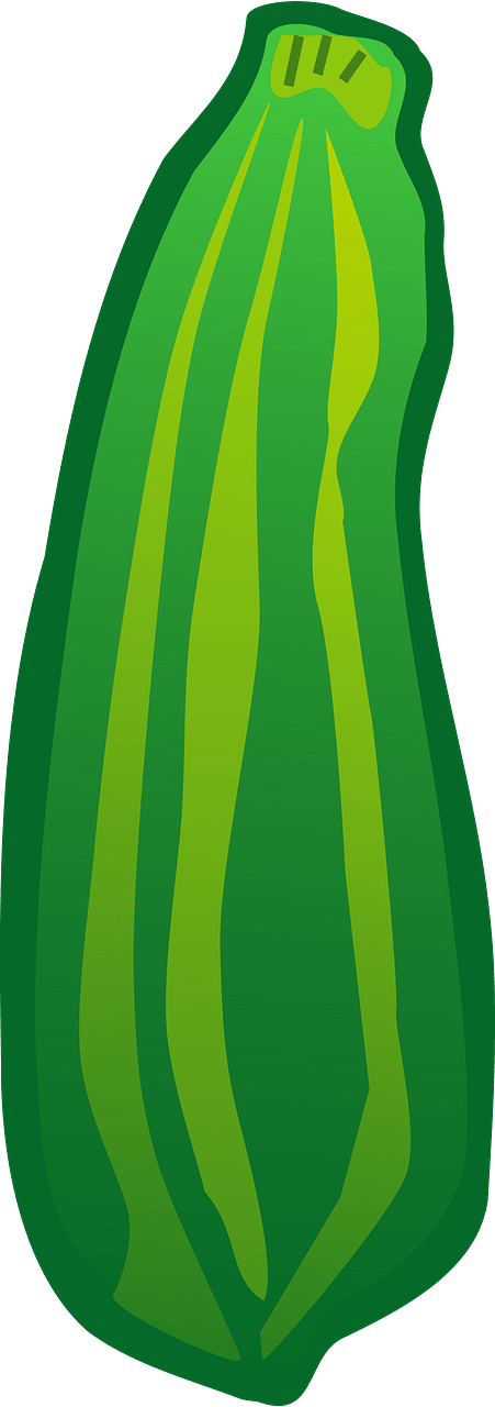 Zucchini Squash