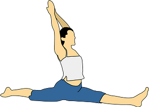 Woman Doing Yoga - Monkey Pose