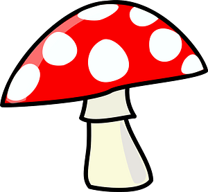Polka Dot Toadstool