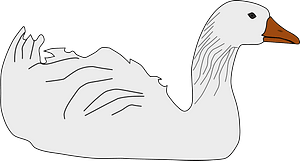 Goose