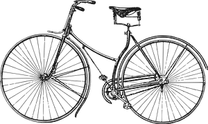 Old Bicycle