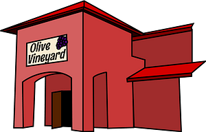 Olive Vineyard