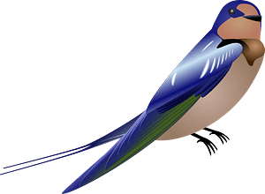 Blue Bird