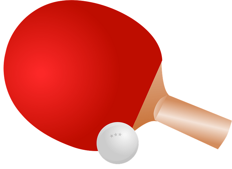 Ping Pong Paddle and Ball