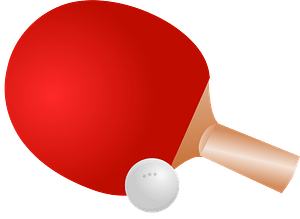 Ping Pong Paddle and Ball