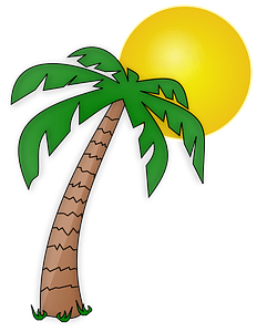Palm tree under bright yellow sun
