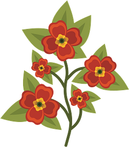 Orange Pansy Flowers
