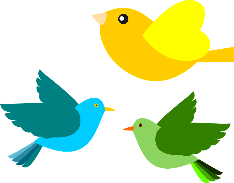 Multicolored Birds