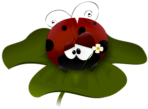 Ladybug on a Leaf