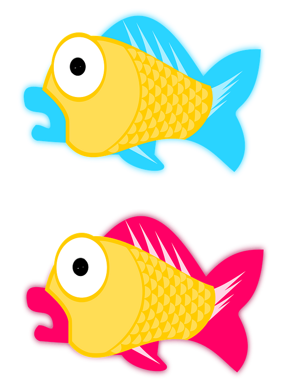 Yellow fish with blue and pink fins