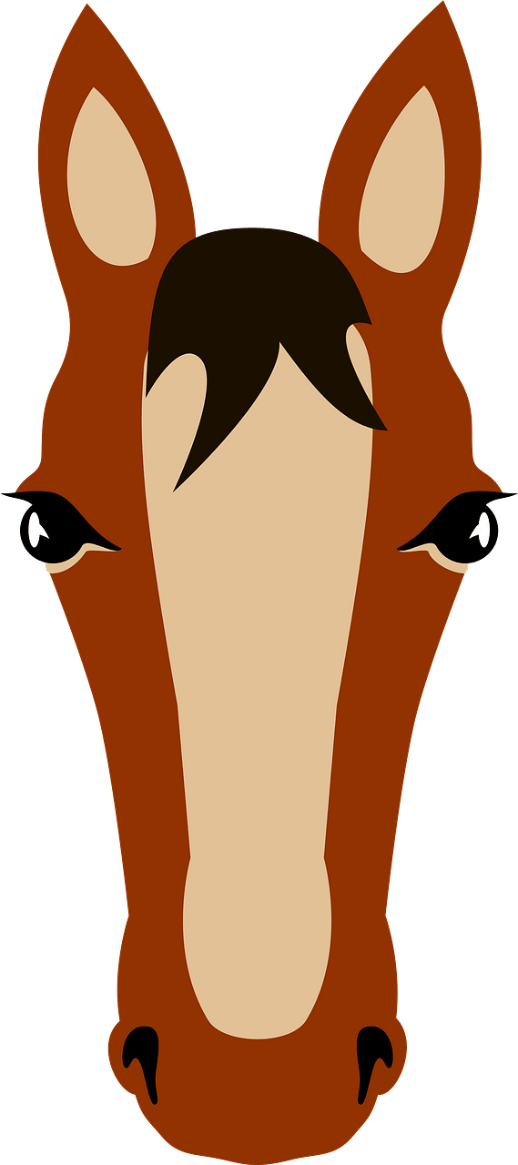 Horse's Head