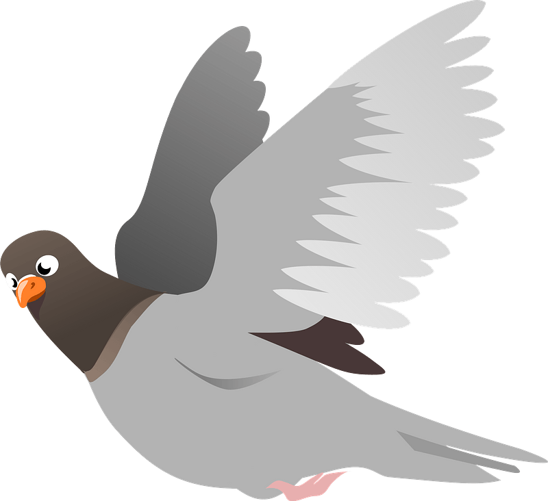 A Flying Pigeon