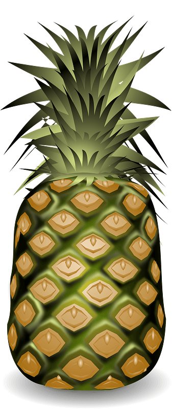 Whole Pineapple