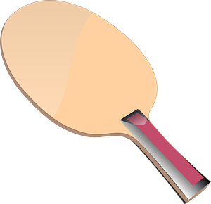 Ping Pong Paddle