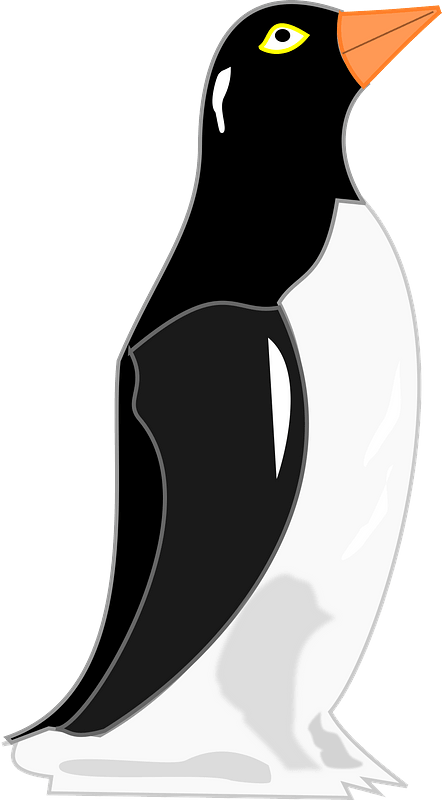 Pinguin
