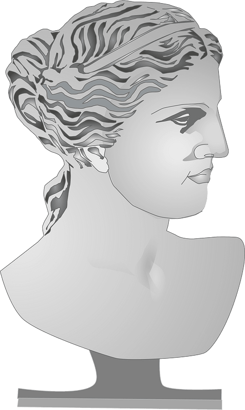 Bust