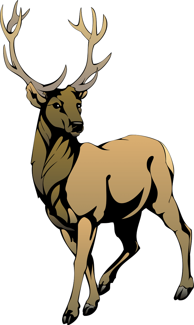 Rusa