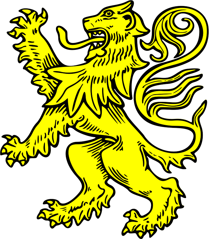 Shield