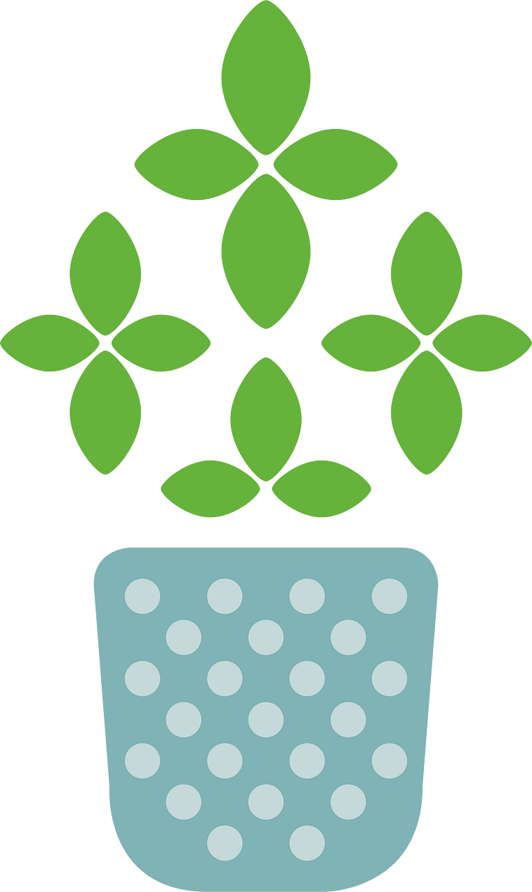 Herb