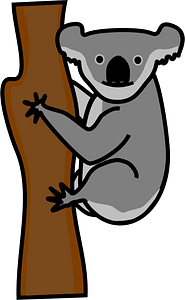 Koala