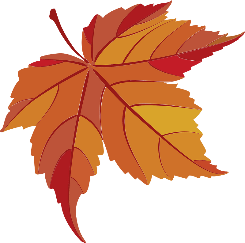 Maple leaves