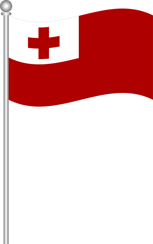 Flag of pakistan