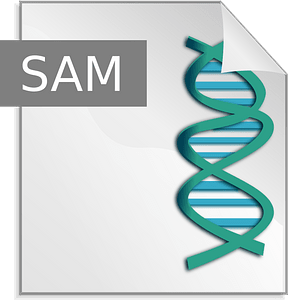 Sam