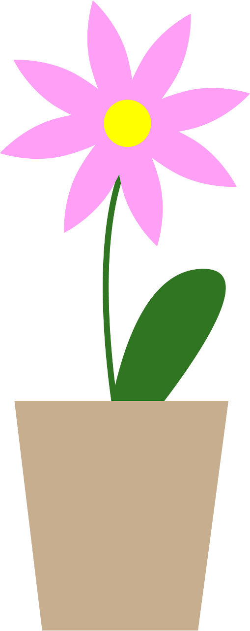 Bunga-bunga